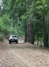 Lamington National Park And OReillys - Lennox Head Accommodation 2