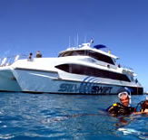 Silver Swift - Lennox Head Accommodation