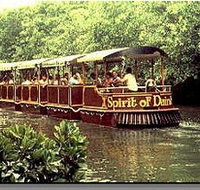 Daintree Rainforest River Trains - Lennox Head Accommodation