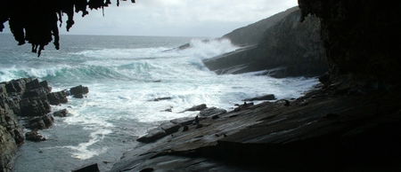 Banksia Adventures - Lennox Head Accommodation 2