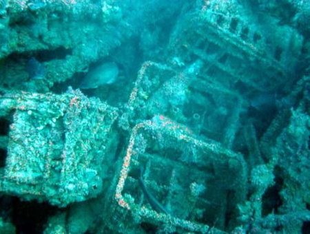 Underwater Sports Diving Centre - Lennox Head Accommodation 0