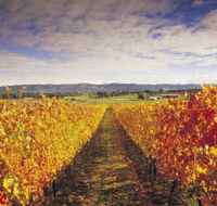 Link Tours - Lennox Head Accommodation
