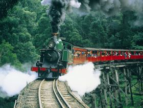 Gray Line Tours Melbourne - Lennox Head Accommodation 1