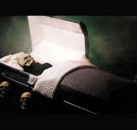 Coffin Ride - Lennox Head Accommodation