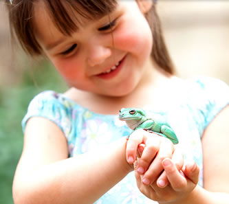Reptile Encounters - Lennox Head Accommodation 1