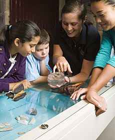 The Rocks Discovery Museum - Lennox Head Accommodation 3