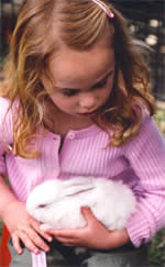 Heritage Craft Fair - Lennox Head Accommodation 2