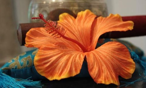 Annasha Day Spa Retreat - Lennox Head Accommodation 5
