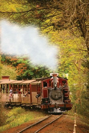 Puffing Billy - Lennox Head Accommodation 5