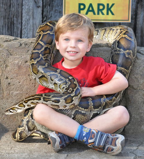 Australian Reptile Park - Lennox Head Accommodation 3