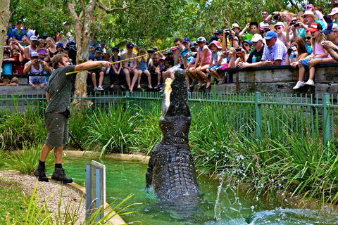Australian Reptile Park - Lennox Head Accommodation 4