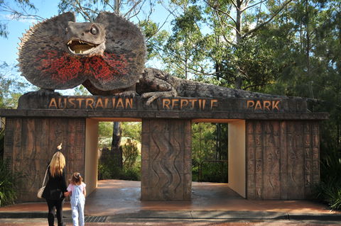 Australian Reptile Park - Lennox Head Accommodation 5
