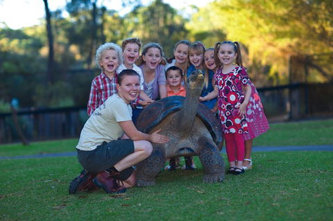 Australian Reptile Park - Lennox Head Accommodation 11