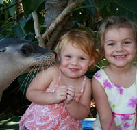Dolphin Marine Magic - Lennox Head Accommodation
