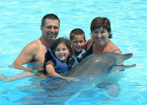 Dolphin Marine Magic - Lennox Head Accommodation 2
