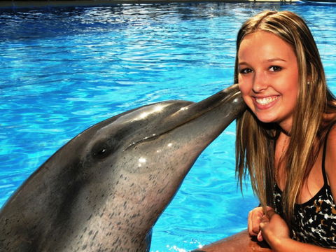 Dolphin Marine Magic - Lennox Head Accommodation 3