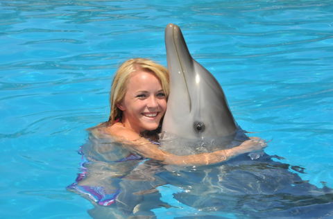 Dolphin Marine Magic - Lennox Head Accommodation 5