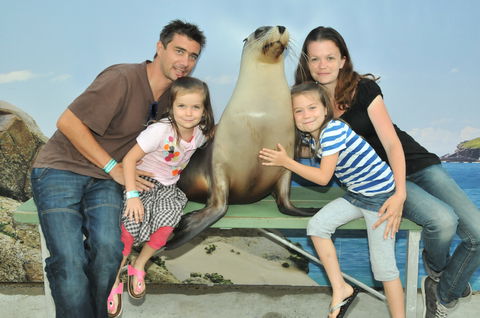 Dolphin Marine Magic - Lennox Head Accommodation 6