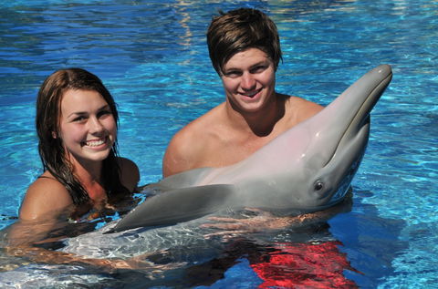 Dolphin Marine Magic - Lennox Head Accommodation 8