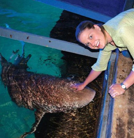 National Zoo & Aquarium - Lennox Head Accommodation 7