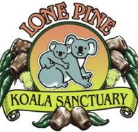 Lone Pine Koala Sanctuary - Lennox Head Accommodation