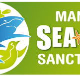 Manly SEA LIFE Sanctuary - Lennox Head Accommodation