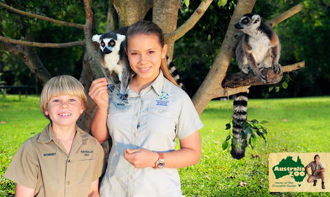 Australia Zoo - Lennox Head Accommodation 2
