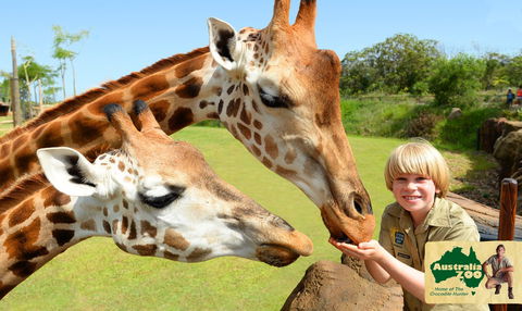 Australia Zoo - Lennox Head Accommodation 4
