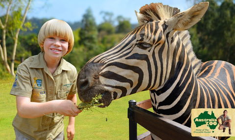Australia Zoo - Lennox Head Accommodation 5