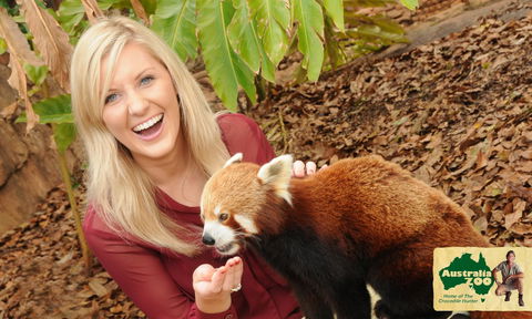Australia Zoo - Lennox Head Accommodation 7