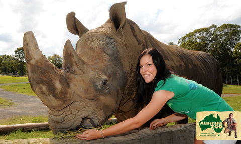 Australia Zoo - Lennox Head Accommodation 8