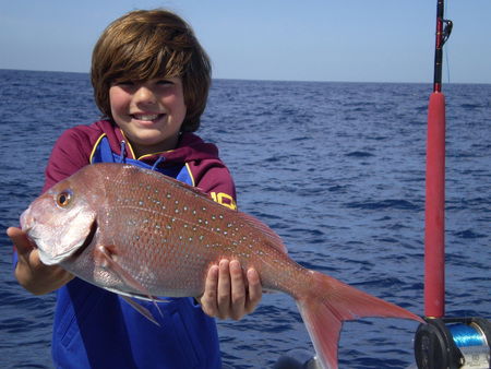 Mills Charters Fishing And Whale Watch Cruises - Lennox Head Accommodation 4
