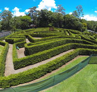 Bellingham Maze - Lennox Head Accommodation