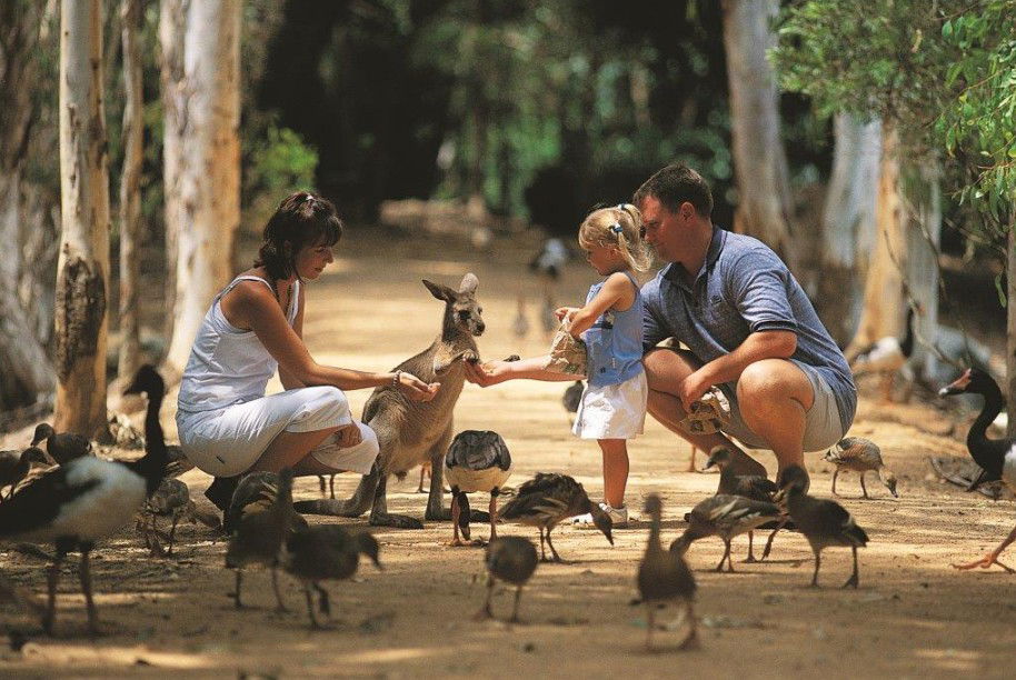 Rowes Bay QLD Lennox Head Accommodation