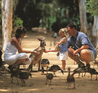 Billabong Sanctuary - Lennox Head Accommodation