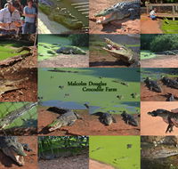 The Malcolm Douglas Crocodile Park - Lennox Head Accommodation