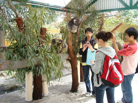 Caversham Wildlife Park - Lennox Head Accommodation 4