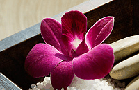 Blush Beauty Saloons - Lennox Head Accommodation 4