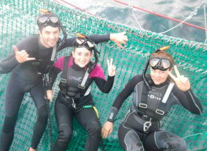 Dolphin Swim Australia - Lennox Head Accommodation 7