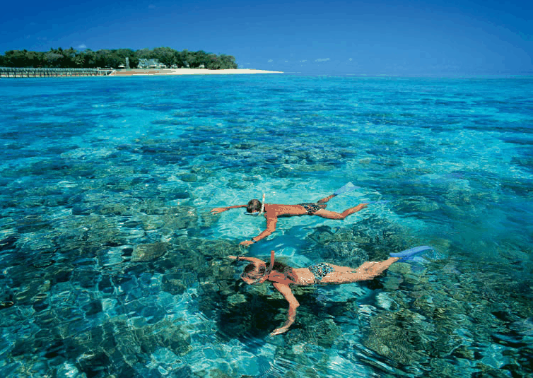 Big Cat Green Island Reef Cruises - Lennox Head Accommodation 4