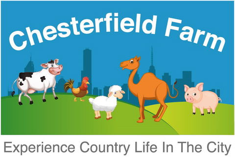 Chesterfield Farm - Lennox Head Accommodation 3