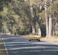 Ludlow Tuart Forest - Lennox Head Accommodation