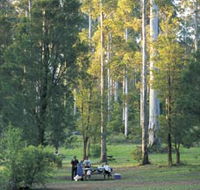 Big Brook Arboretum - Lennox Head Accommodation