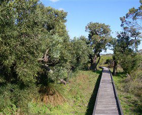 Kepwari Trails Wetland Wonderland - Lennox Head Accommodation 0