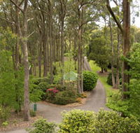 Mount Lofty Botanic Garden - Lennox Head Accommodation