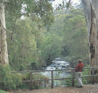 Cascades - Lennox Head Accommodation