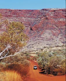 Mount Nameless - Lennox Head Accommodation 0