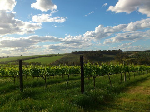 Plantagenet Wines - Lennox Head Accommodation 1