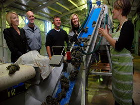 Eyre Peninsula's Seafood Trail - Lennox Head Accommodation 0