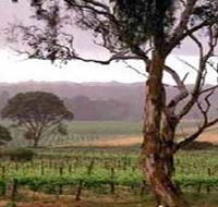 Yangarra Estate Vineyard - Lennox Head Accommodation